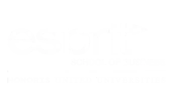 ESB logo