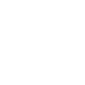 logo pristini 