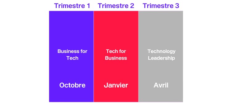 schema_-_tech_mba-v2